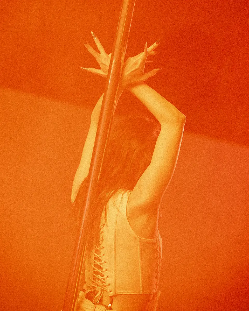Pole dancer performing during the party